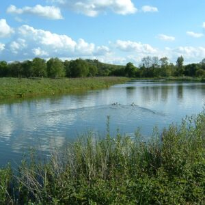 Marsh Farm - Sat 4th October 2025