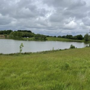 Meadowlands - Weds 22nd October 2025
