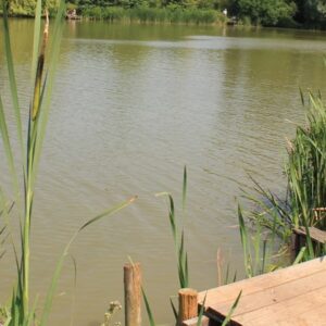 Southend Farm - Sat 27th September 2025