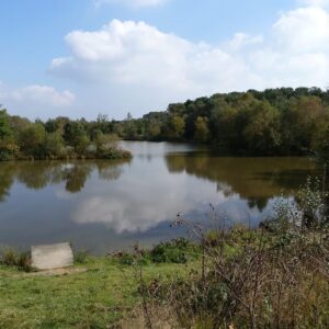 Stafford Moor - Sat 12th July 2025