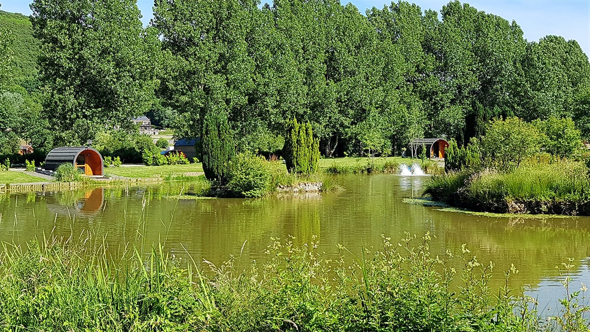 whitesprings